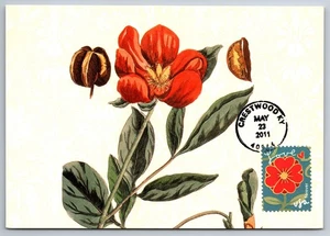 #4532 Garden of Love Red Flower FDC Maxi Card - Picture 1 of 2