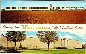 POSTCARD SCENE State of Kansas KS AM4568 - Picture 1 of 2