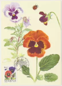 Maxi Suecia 1997, flores de jardín, flor, pensamiento, como nuevo - Imagen 1 de 1