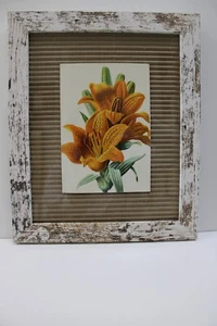 Antique Botanicals, Flower, Framed, Ready to Hang - Picture 1 of 2