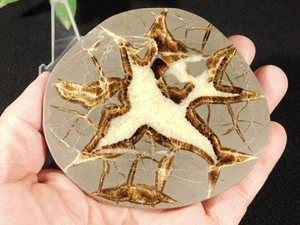 Polished SEPTARIAN Nodule Slab With a Lightning Like Pattern! From Utah 201gr - Picture 1 of 10