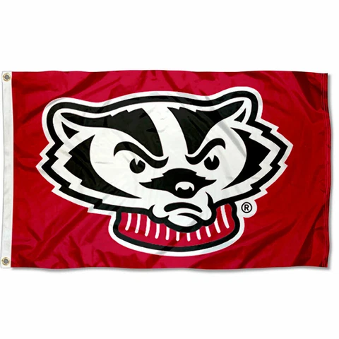 Wisconsin Badgers Mascot 3x5 Banner Flag Cover