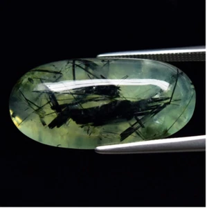 Natural Picture of shrimp on 16.77ct Green Prehnite Africa Loose gemstone - Picture 1 of 16