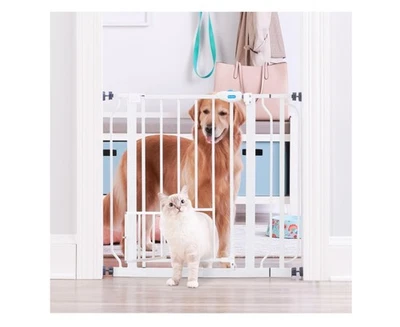 Carlson Extra Wide Walk-Thru Pet Gate 29-36.5 in W x 30 in H | Metal with Sma... - Image 1 of 4