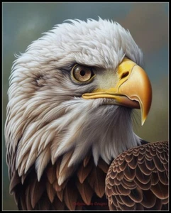 Portrait of Bald Eagle - Chart Counted Cross Stitch Patterns Needlework DMC DIY - Picture 1 of 2