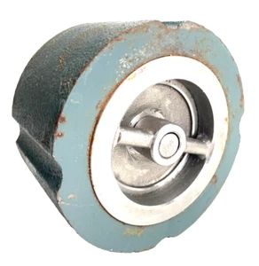 METRAFLEX SS7025 2-1/2" Silent Check Valve Class 125 250-WOG Iron Body, SS Trim - Picture 1 of 11