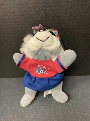 Hudson Valley Renegades Plush Rene Bean Bag 8" Minor League Raccoon Baseball Cover