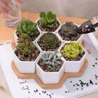 7pcs Geometric Ceramic Clay Pottery Set Succulent Flower Pots With Bamboo Base.