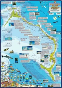 Eleuthera Island Bahamas Adventure Map Laminated Poster - Picture 1 of 2