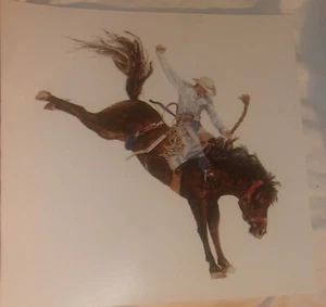 IMPRESIÓN ARTÍSTICA VINTAG DE VAQUERO Y CABALLO EN MUY BUEN ESTADO POR MARGARET BEGGS - Imagen 1 de 2