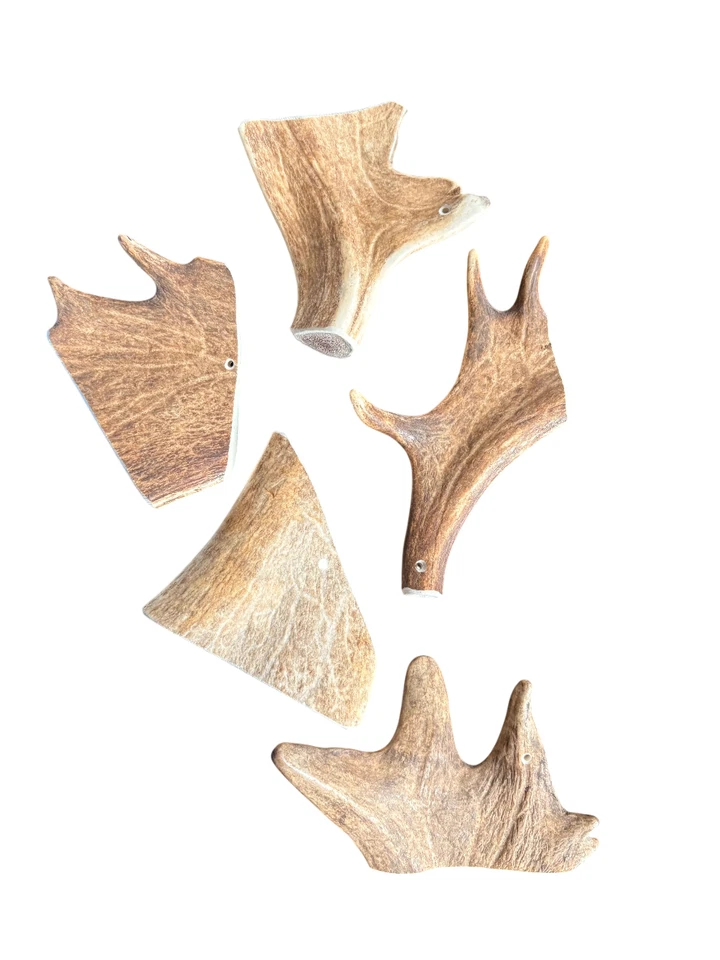 1 Stück Geweihbeißer Damhirsch Hund  120g-180g Leckerli Zahnpflegend 005.031 - Bild 1 von 1