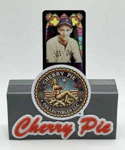 RARA mini card 2023 Topps Allen & Ginter #388 Ted Williams "STAINED GLASS" /25 - Foto 1 di 6