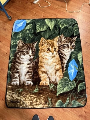 Manta De Colección Northwest Kitten 50x60 Reversible Acogedora Difusa Gato Amante Regalo Foto 1 de 4