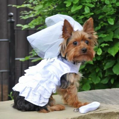 Dog Wedding Dress Bridal Gown Veil Set Tulle Lace Flower Girl Harness Costume - Image 1 of 2