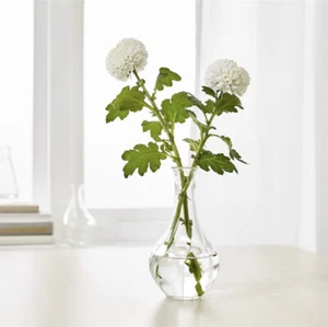 Glass Vase Clear Flowers Pot Flower Pot Table Dinning Room Display - Picture 1 of 6