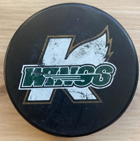 Kalamazoo Wings IHL Souvenir Hockey Puck International League Lindsay Puck World Cover