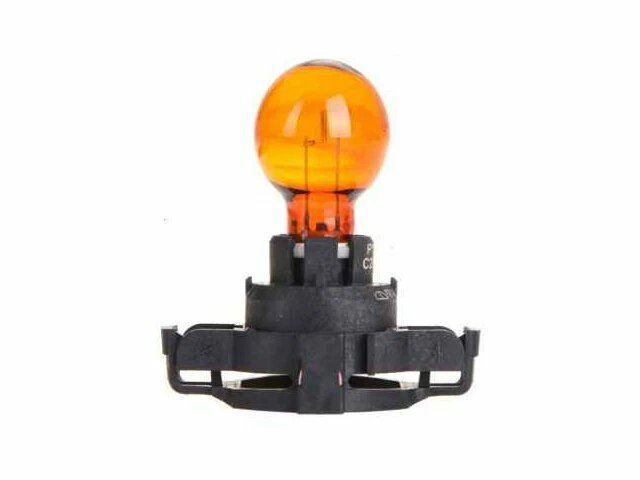 Bombilla intermitente Philips 36338RT 2015 para Ford Transit Connect 2014-2020 Foto 1 de 2