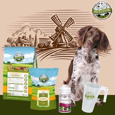 Bellfor Hundefutter Trockenfutter Hunde Soft Snack Immun Pulver Sparpaket - Bild 1 von 4