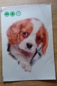 Großer Sticker Hundewelpe, NEU IN OVP!!! - Bild 1 von 4