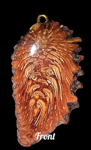 Knobcone Teardrop Pendant/Keychain  - Picture 1 of 2