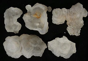 203 g 5 piezas Raro Transparente Natural Hermoso Sueño Cristal Ágata Espécimen Mineral 1 - Imagen 1 de 8