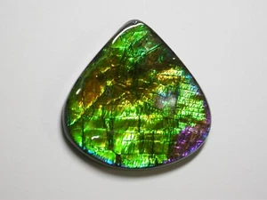 Piedra de la suerte mineral de amonita/amolita - Imagen 1 de 1