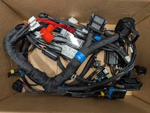 NEW Genuine OEM Indian Scout 2021-2024 Chassis Wire Harness 2415429 - Picture 1 of 6