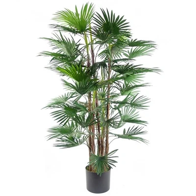 Fan Palm Artificial Tree  120cm Botanik - Image 1 of 4
