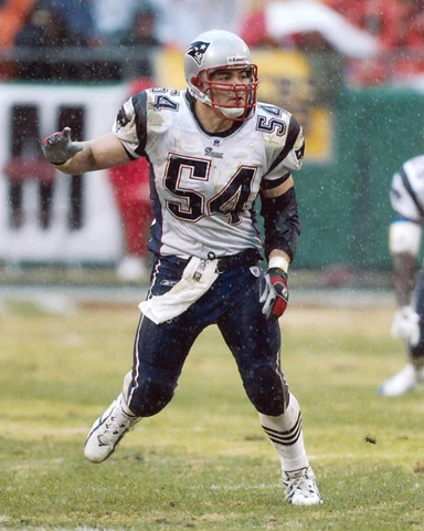 New England Patriots TEDY BRUSCHI Glossy 8x10 Photo NFL Football Print Poster Cover