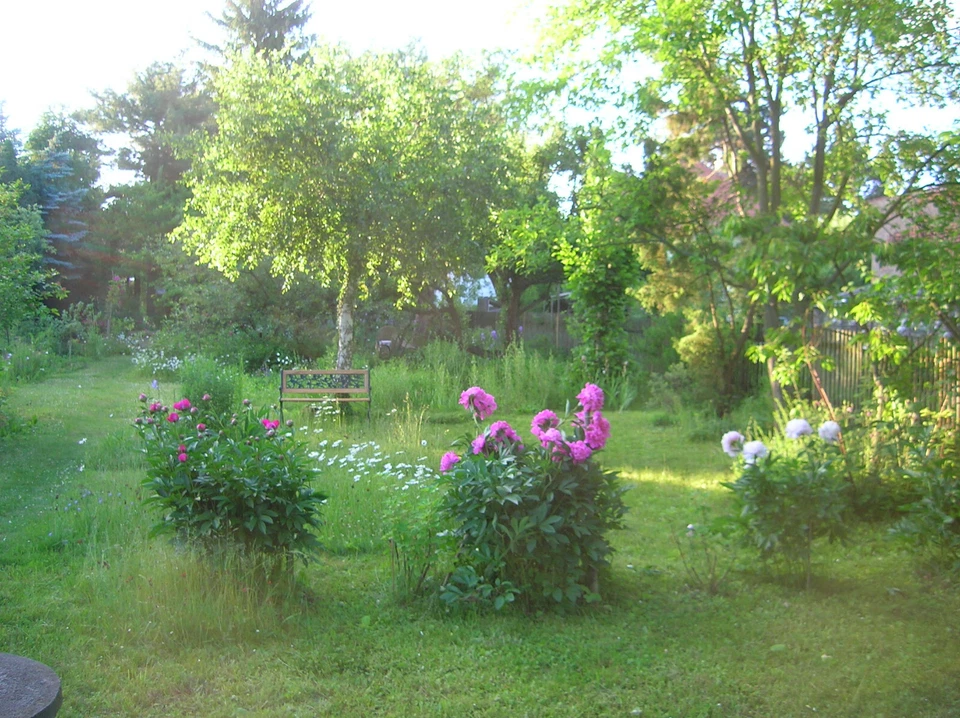 Josef Krips - Historic Decca Recordings 1950-1958    5 CD-Box - Bild 1 von 1