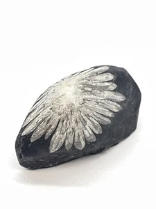 Natürlicher Blumenstein handgeschnitzt aus China Palmenstein 3 Zoll - Bild 1 von 8