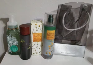 Bath& Body Works CHASING FIREFLIES eau de parfum, Mist,& Hand Soap/ BBW gift bag - Picture 1 of 16
