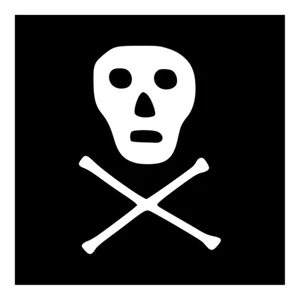 Adesivi in vinile Jolly Roger decalcomanie 5x7 2qty e 2x3 2qty. - Foto 1 di 3