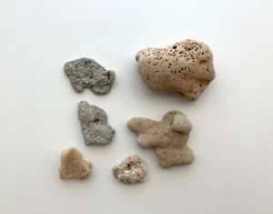 6 rocce da spiaggia naturali a forma di cane conchiglia ciottoli arte artigianato pietra di strega testa di cucciolo animale domestico - Foto 1 di 17