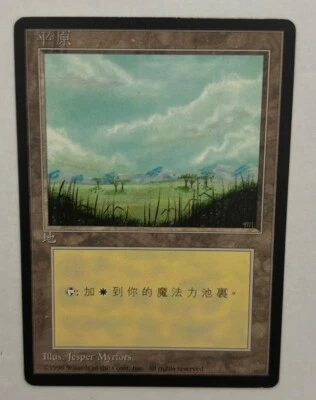 MTG CHINESE BLACK BORDERED PLAINS NM FBB MAGIC THE GATHERING LAND BASIC #A - Image 1 of 4