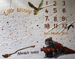 Harry Potter Little Wizard Photo Backdrop Adventure Awaits 40x48” - Picture 1 of 1