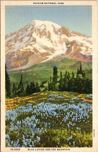 Postcard Blue Lupine & The Mountain Rainier National Park    [KN] - Picture 1 of 2
