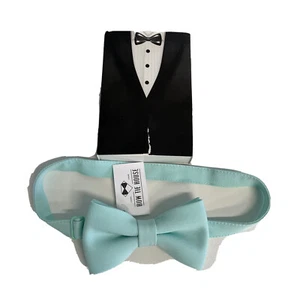 Bow Tie House Medium (Ages 6-18) 10-19 inches length Green Mint NEW Teens School - Picture 1 of 12