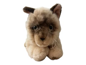 Webkinz Signature Ragdoll Cat WKS1041 No Code Plush Realistic Stuffed Animal Tan - Picture 1 of 9