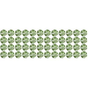 4 PCS Partyteller Party-Pappteller Monstera-Blatt-Design Hotelgeschirr Bankett - Bild 1 von 12