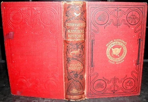 CURIOSITIES of NATURAL HISTORY Frank/ Francis T Buckland 1882 illus Third Series - Picture 1 of 14