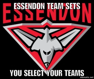 1993-2021 Select Australia ESSENDON Team Sets (You Select) - Picture 1 of 50