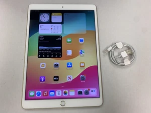 Apple iPad Pro 1st Gen. 256GB, Wi-Fi, 10.5 in - Rose Gold - Latest iOS 17 - Picture 1 of 1