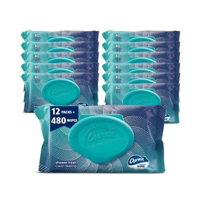 Charmin Flushable Wipes, 480 Total Wipes (12 Packs of 40) - Picture 1 of 8