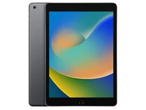Apple iPad 9th Gen Wi-Fi 256GB (A2602) 10,2"  Retina USB-C - Space Gray - Bild 1 von 1