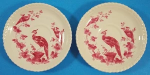 Rare 2 Copeland Spode "Black Bird' Demitasse Saucers ONLY Pink Fuchsia Reg No. - Picture 1 of 14