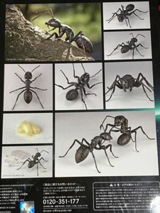 NEW KAIYODO REVOGEO RG009 Giant Black Ant Produce by Shinobu Matsumoto Figure - Picture 1 of 4