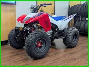 2025 Honda TRX 250X New - Picture 1 of 12