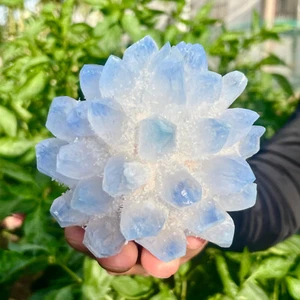 440G Neufund Blau Phantom Quarz Kristall Cluster Mineral Proben Heilung - Bild 1 von 12