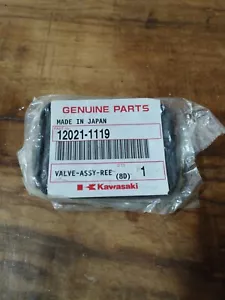 Kawasaki Jet Sky E ZRX Valvola Lamellare Valve Assy Reed Cod 12021-1119 sc34 - Foto 1 di 2